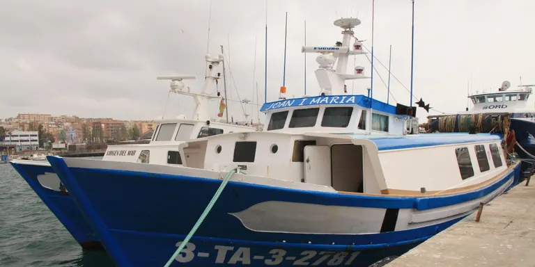 Els peixaters asseguren que l'abastiment de peix fresc "està garantit" a Catalunya