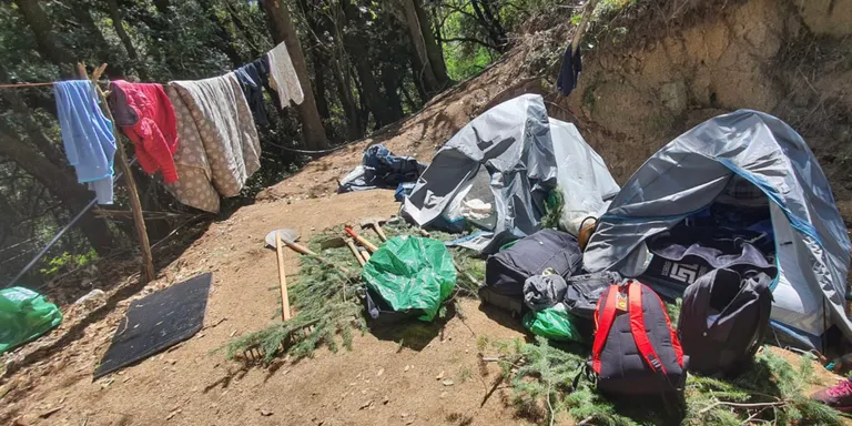 Sis detinguts per cultivar marihuana al massís del Montseny