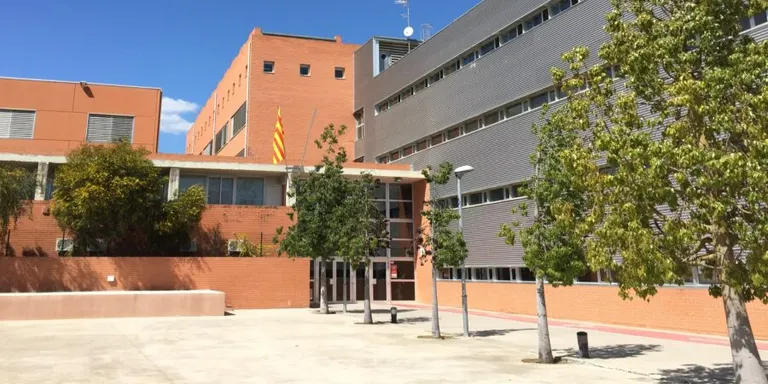 Valls obre una línia d’ajudes per a estudis postobligatoris