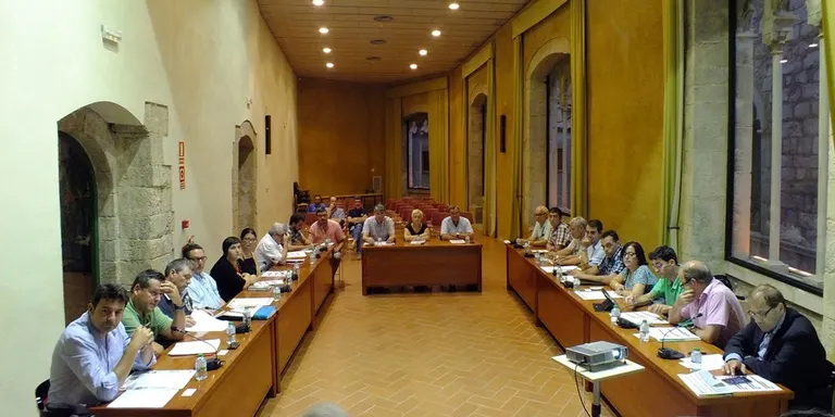Els delictes contra el patrimoni gairebé es dupliquen aquest 2020 a Agramunt