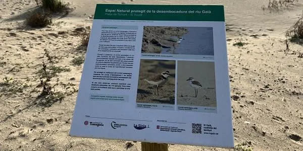 La Sínia instal·la plafons informatius per conscienciar sobre la criança del corriol camanegre a l’abalisament del Vinyet