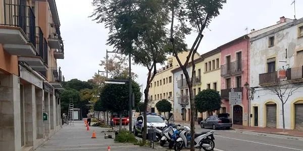 La cooperativa per a la integració social Entra! guanya el contracte per al servei de poda de l’arbrat d’Altafulla