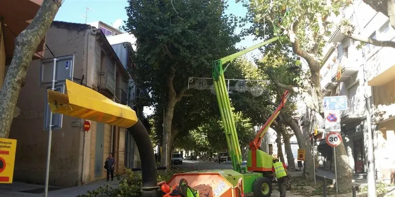 Fins a mitjans de febrer es realitzaran les tasques de poda als arbres del poble