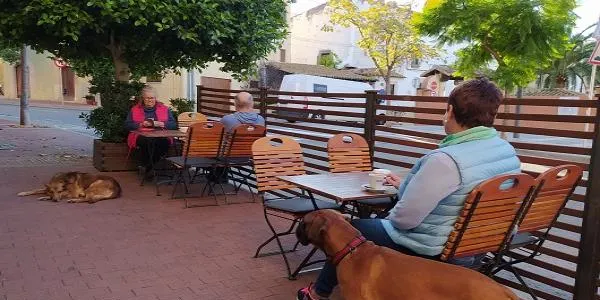 El Govern destinarà 40 milions d’euros en ajuts directes a la restauració i obrirà una línia d’avals per garantir la liquiditat dels negocis