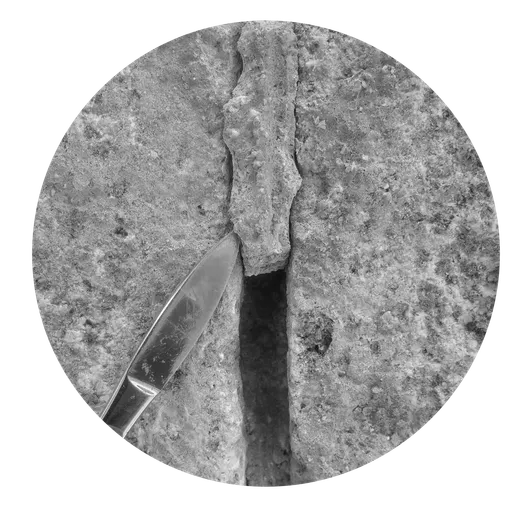 Fulles de Bisturí