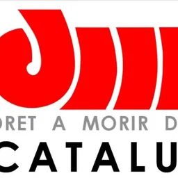 Entrevista a Nani Hidalgo, coordinadora del Grup d'Educació de Dret a Morir Dignament - episode art