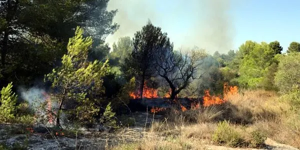Es desconeixen encara les causes del foc que haurien provocat l’incendi als Munts d’Altafulla