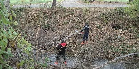 Iniciats els treballs de neteja de la canalització del riu Segre