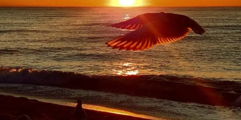 Domini del sol i remuntada de les temperatures