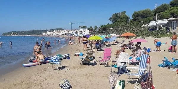 La gestió de la platja d'Altafulla rep un reconeixement mediambiental