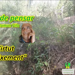 El “Racó de pensar” d’en Ramon Vila. Avui: “Virtut i coneixement”. - episode art