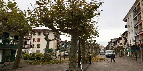 COMIENZA LA PODA DE ÁRBOLES DE OTOÑO EN HONDARRIBIA