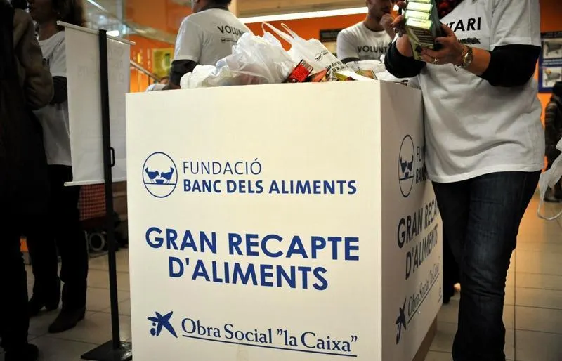 Tornen a fer el tractament contra la proliferació del mosquit tigre