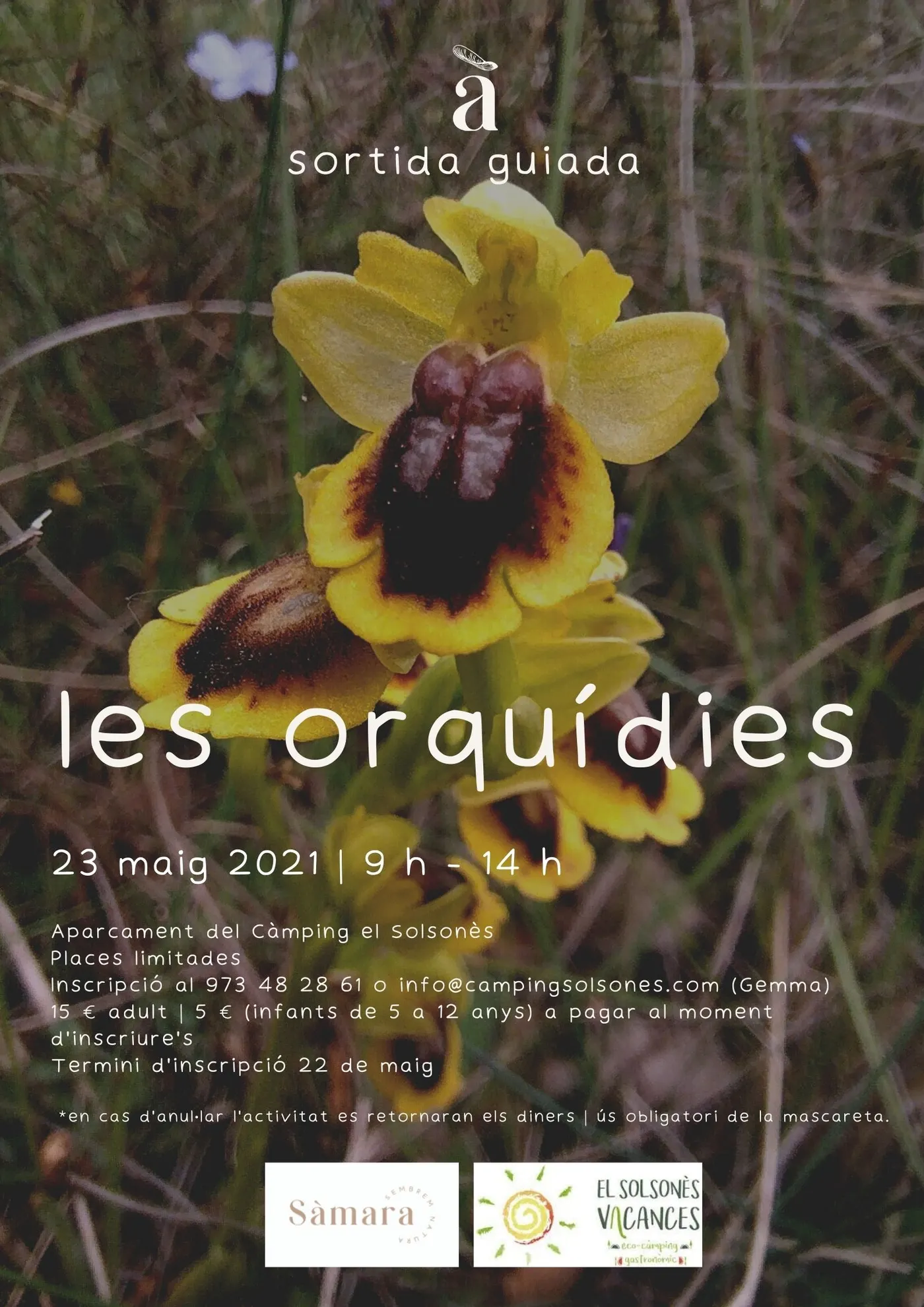 La cooperativa Sàmara Natura organitza una sortida guiada per conèixer les orquídies