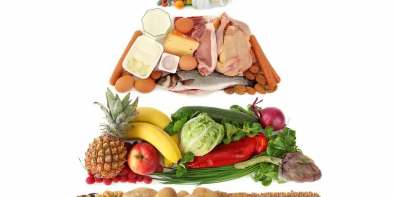Xerrada formativa sobre la nutrició en persones grans