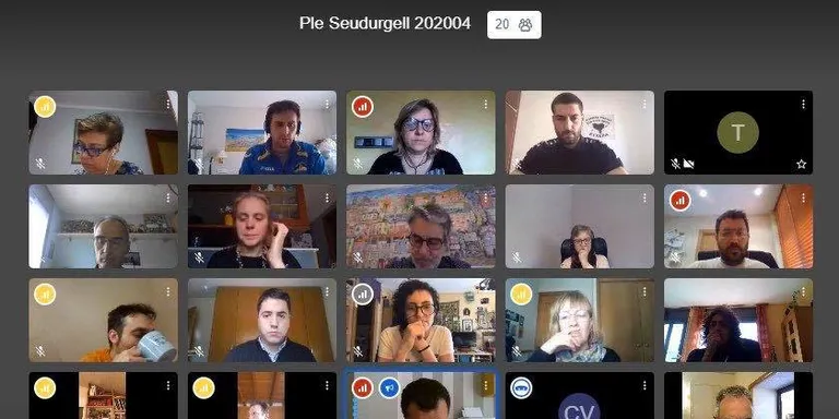 El ple de la Seu debat la preservació de drets bàsics en el marc de l'estat d'alarma