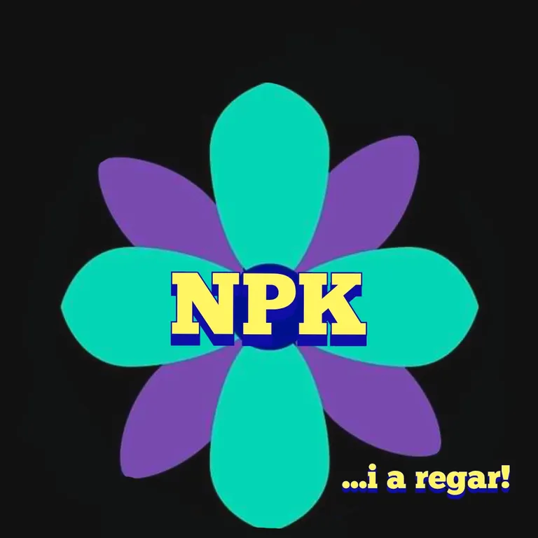 NPK...i a regar!