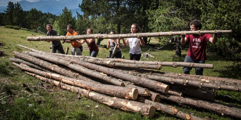 Mig miler de voluntaris milloraran l'estat de conservació dels boscos del Pirineu aquest estiu