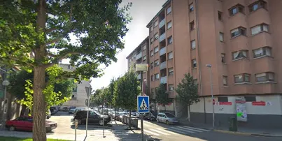 Continua el tractament fitosanitari a la Seu per eliminar el pugó dels arbres