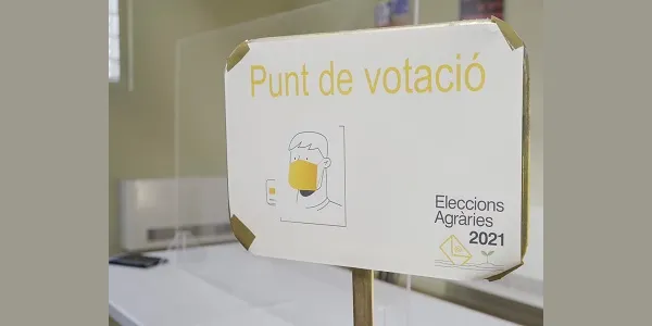 L'horari de votació de les Eleccions Agràries s'allarga dues hores per garantir la participació de tots els electors