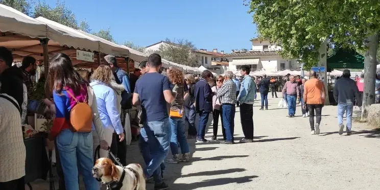 La Fira lliga’t a la Terra aconsegueix vendre 22.000 planters