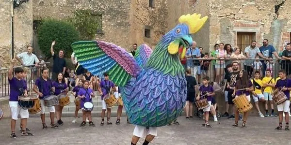 El Gall de la Pobla de Montornès representarà el municipi i el Baix Gaià a Estocolm
