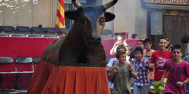L'Agrupació de Geganters de Solsona organitza un curs pirotècnic