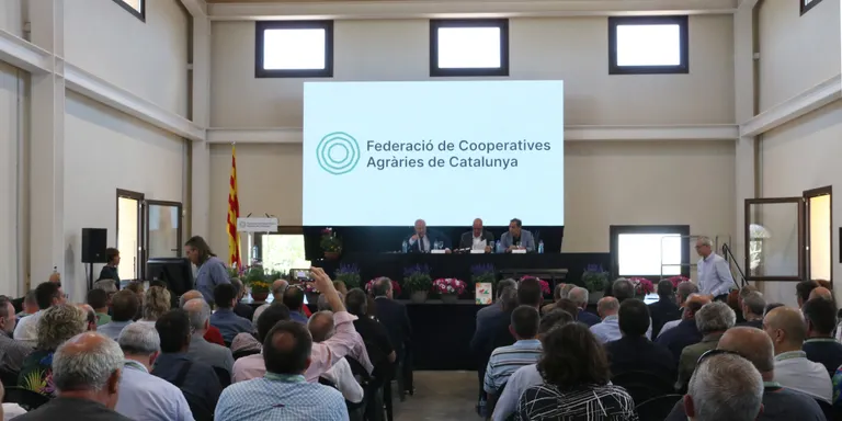 Les cooperatives catalanes avisen que la sequera reduirà la facturació de l'any passat