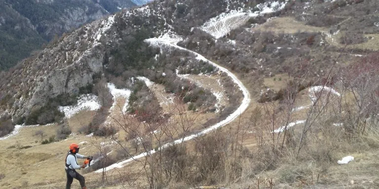 Treballs forestals per a la prevenció d'incendis al Parc Natural del Cadí-Moixeró
