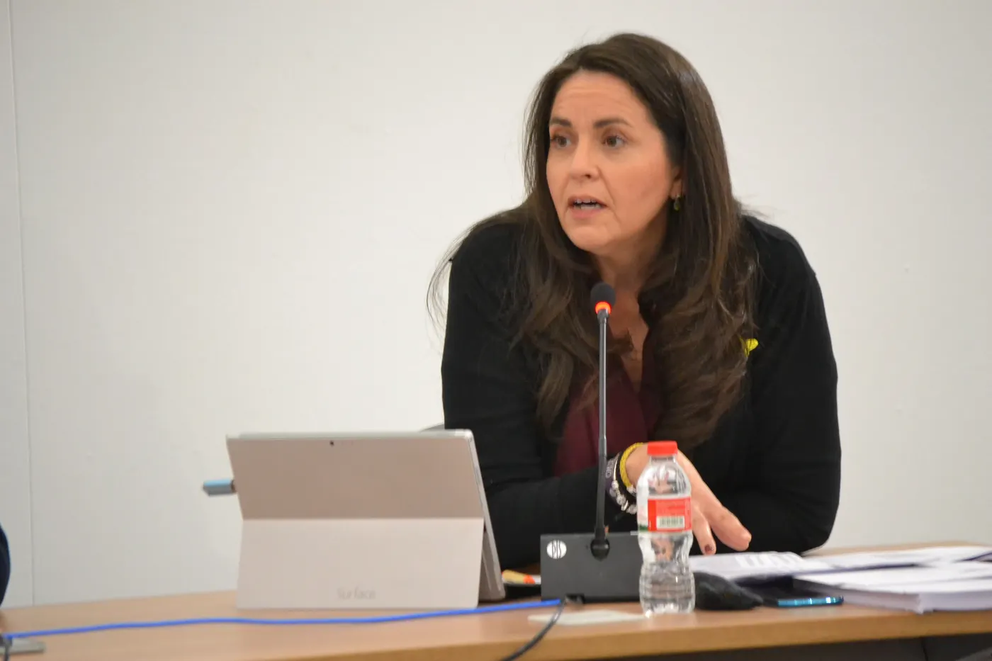 El ple aprova una moció per la millora de l'atenció integral a les víctimes de violència de gènere a Pineda
