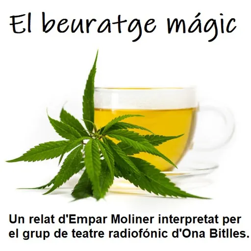 EL BEURATGE MÀGIC. Un relat d’Empar Moliner.