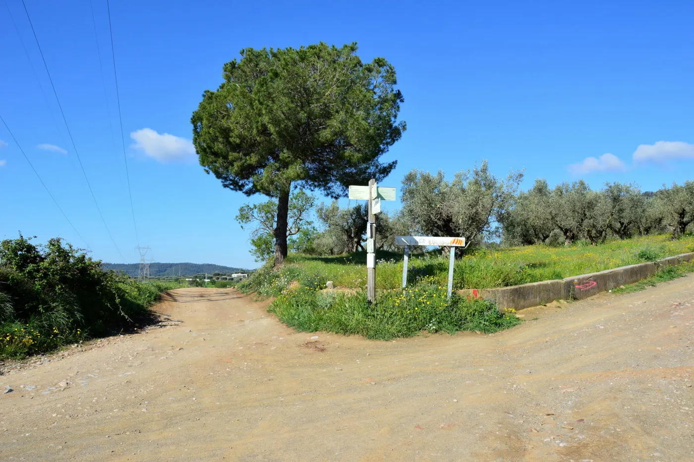 Comencen les tasques de manteniment de camins veïnals i pistes forestals al terme municipal