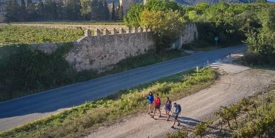 Segona etapa de la Ruta del Cister amb el Club Excursionisme
