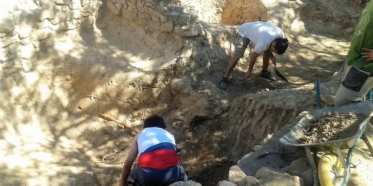 Balanç positiu de la campanya d'excavacions arqueològiques del CEL d'aquest estiu