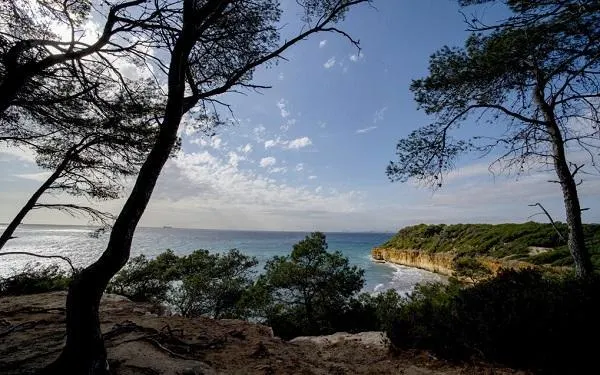 Foto: Fundació Bosc de la Marquesa