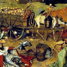 Entrevistes de la Plaça Mireia del 22/12/2020 — La Pesta Negra de 1651 a Sant Just: impacte a masies, nissagues i memòria local - episode art