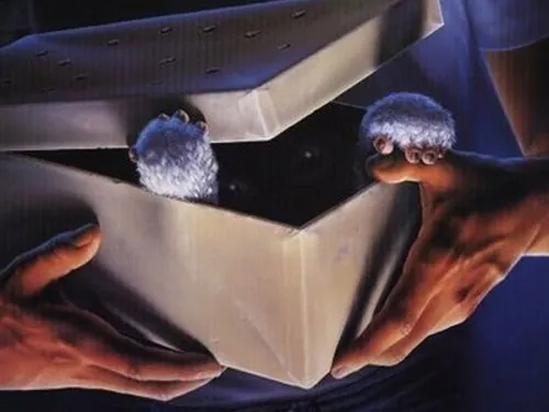 Sortegem invitacions per veure “Gremlins” als cinemes Cinesa Parc Vallès
