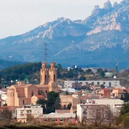 Plens municipals Sant Esteve Sesrovires del 19/5/2021 - episode art