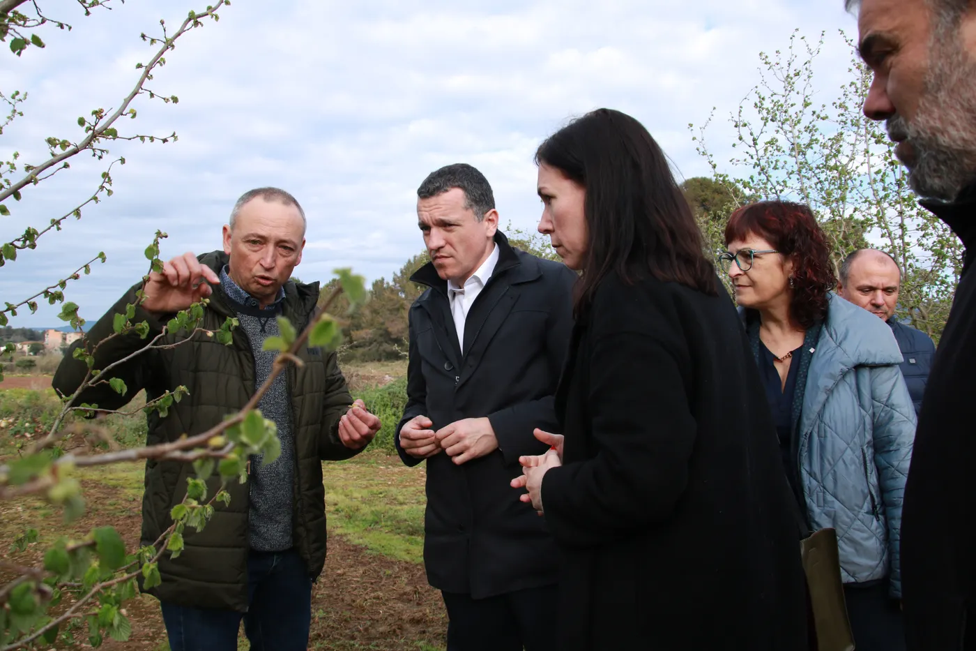 El Pla de l'avellana desplegarà 25 mesures per garantir la producció d'aquest cultiu i reforçar la competitivitat