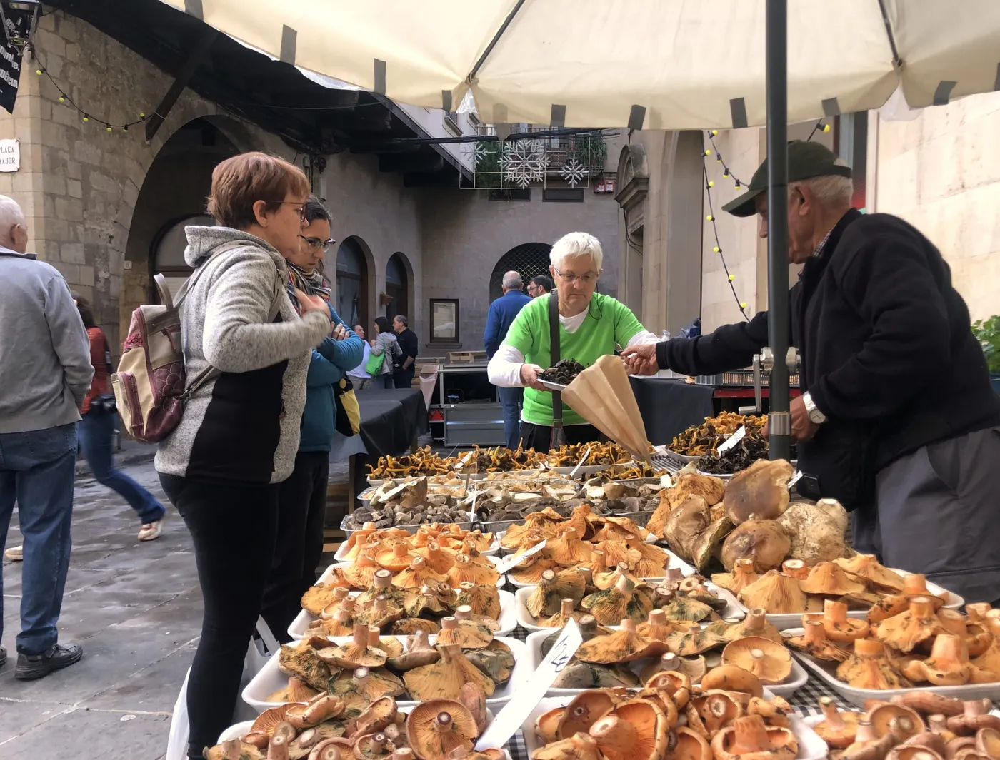 La Fira de la Terra del Solsonès arribarà el cap de setmana del 21 i el 22 d'octubre amb més propostes que mai