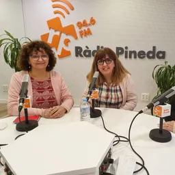 Tallers de la memòria: Isabel Madrid i Quima Llanos, treballadores familiars de Benestar Social - episode art