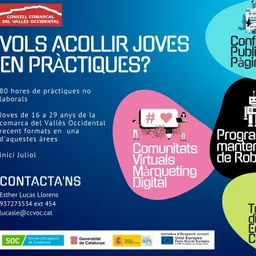 #1282 - Feina i Formació, 55% Programa Singulars aconsegueixen feina - episode art