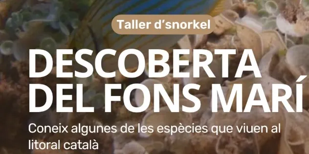 Snorkel al Canyadell amb el GEPEC