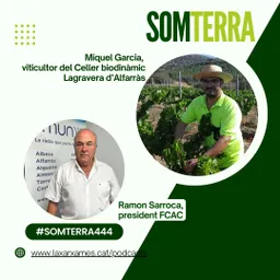 #257 - Som Terra amb Pili Garcia del 28/8/2024 - episode art