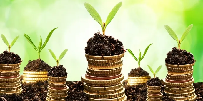 S’obre el període de convocatòria de subvencions per a entitats