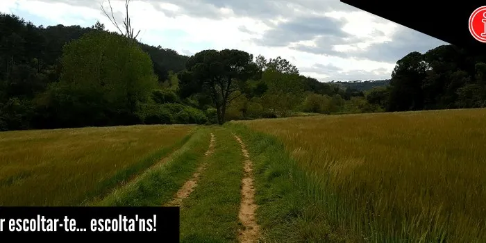 El grup de marxa nòrdica reprèn el camí