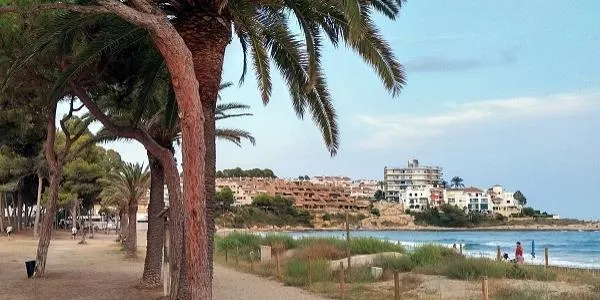 S'inicia el sanejament de l'arbrat del parc de Voramar d'Altafulla
