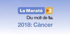 La Seu inicia les activitats solidàries a favor de La Marató de TV3