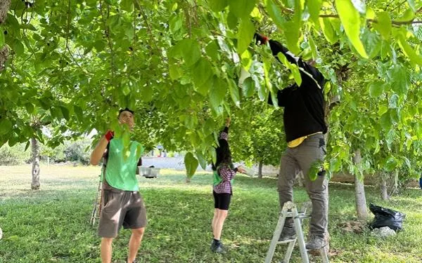 Foto: Ajuntament de Torredembarra