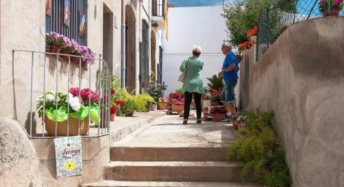 Foto: Ajuntament d'Arenys de Mar
